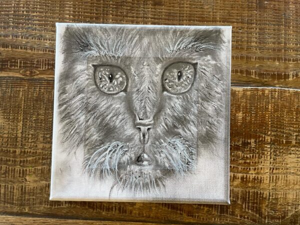 The square feline - Image 2