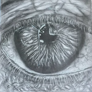 The seeing eye