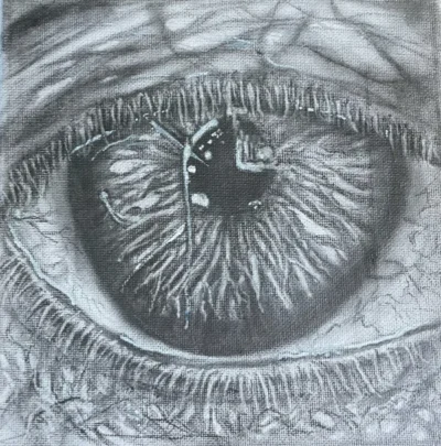 4 The seeing eye