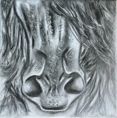 3 The horse
