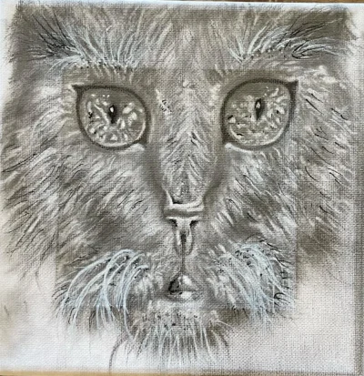 3 The square feline