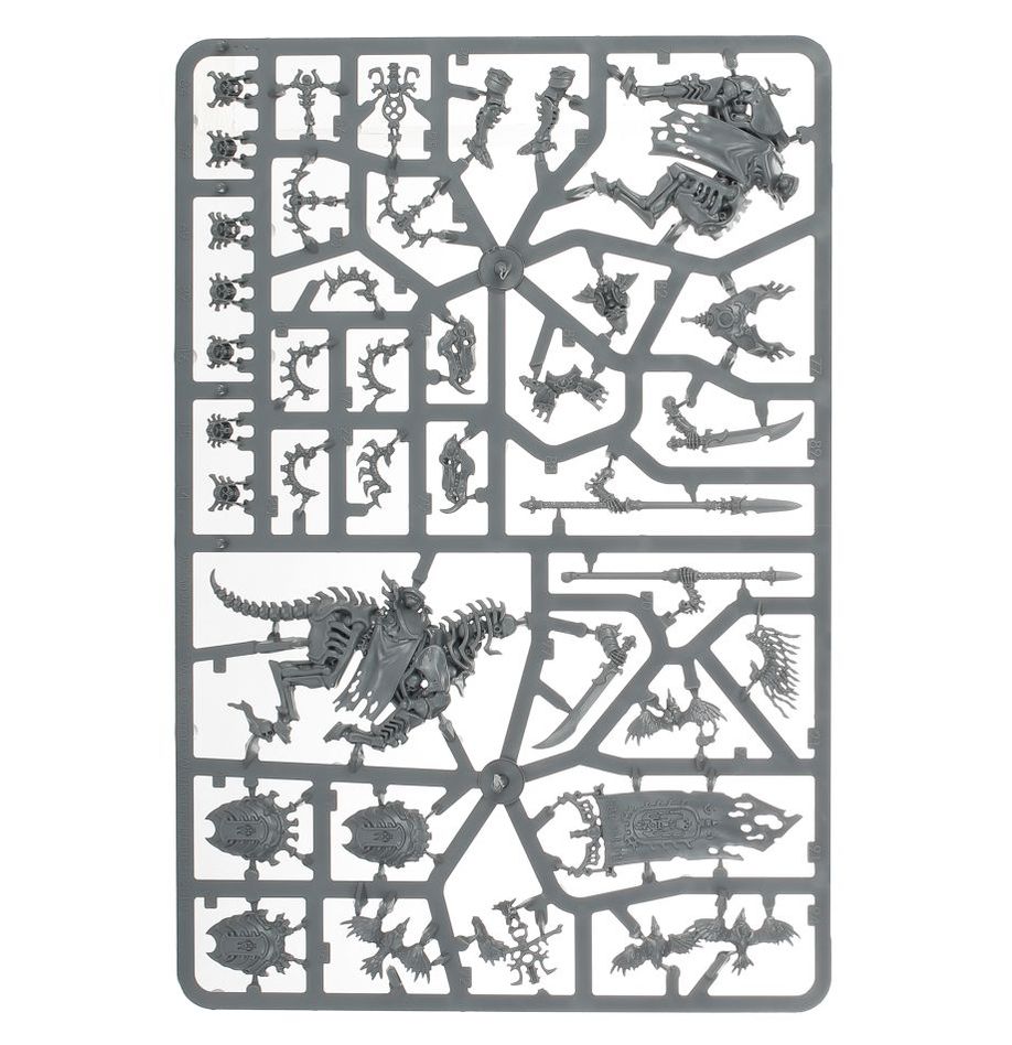 Ossiarch Bonereapers: Kavalos Deathriders - Image 5