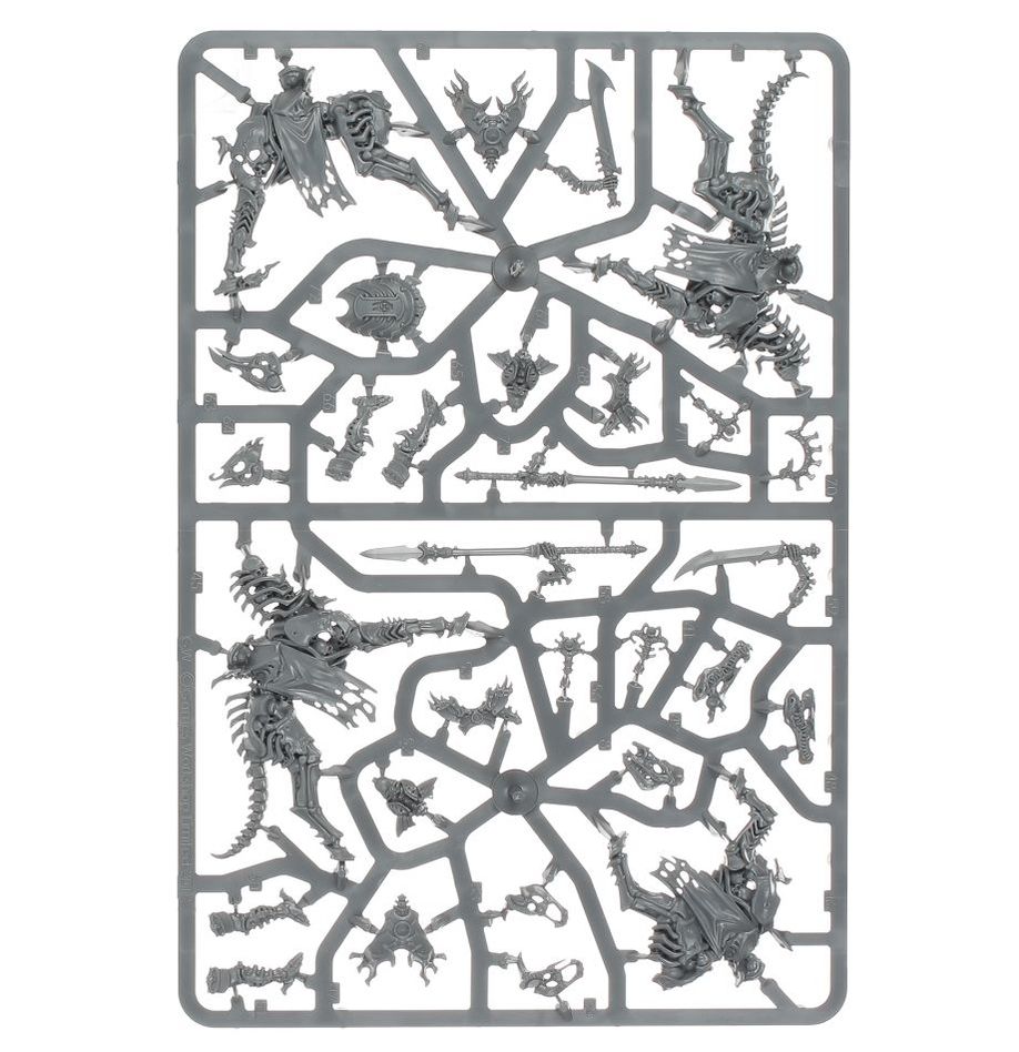 Ossiarch Bonereapers: Kavalos Deathriders - Image 4