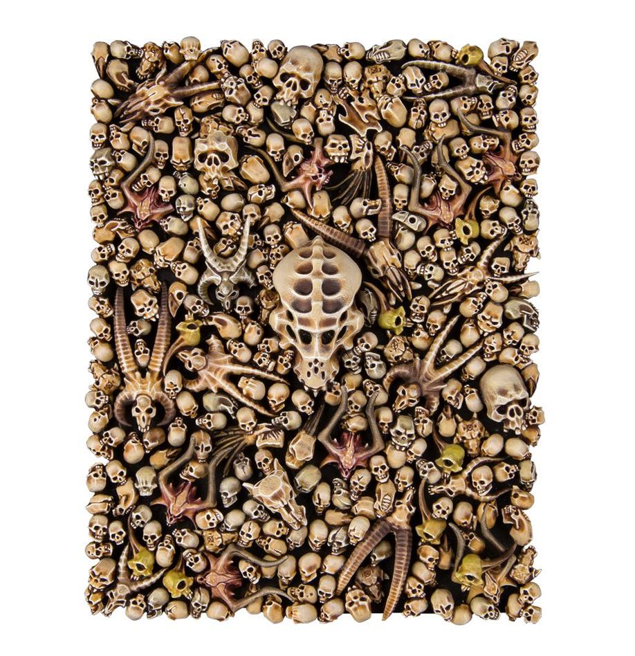 Citadel: Skull - Image 3