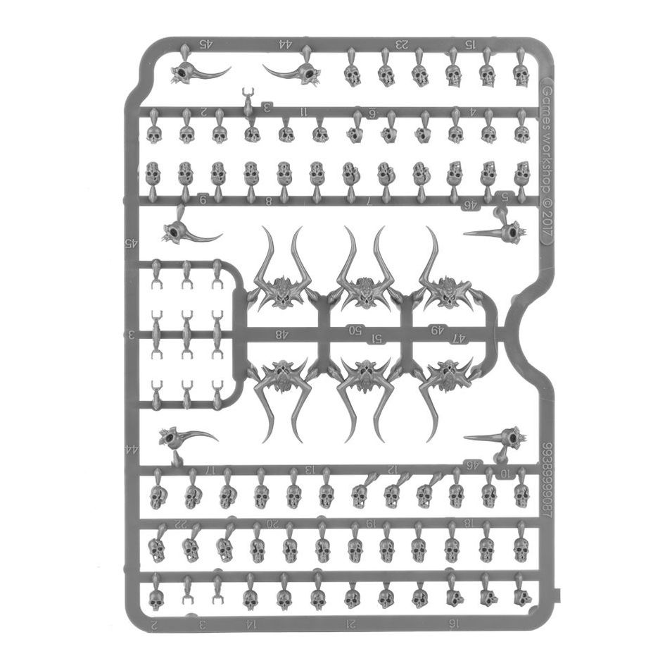 Citadel: Skull - Image 5