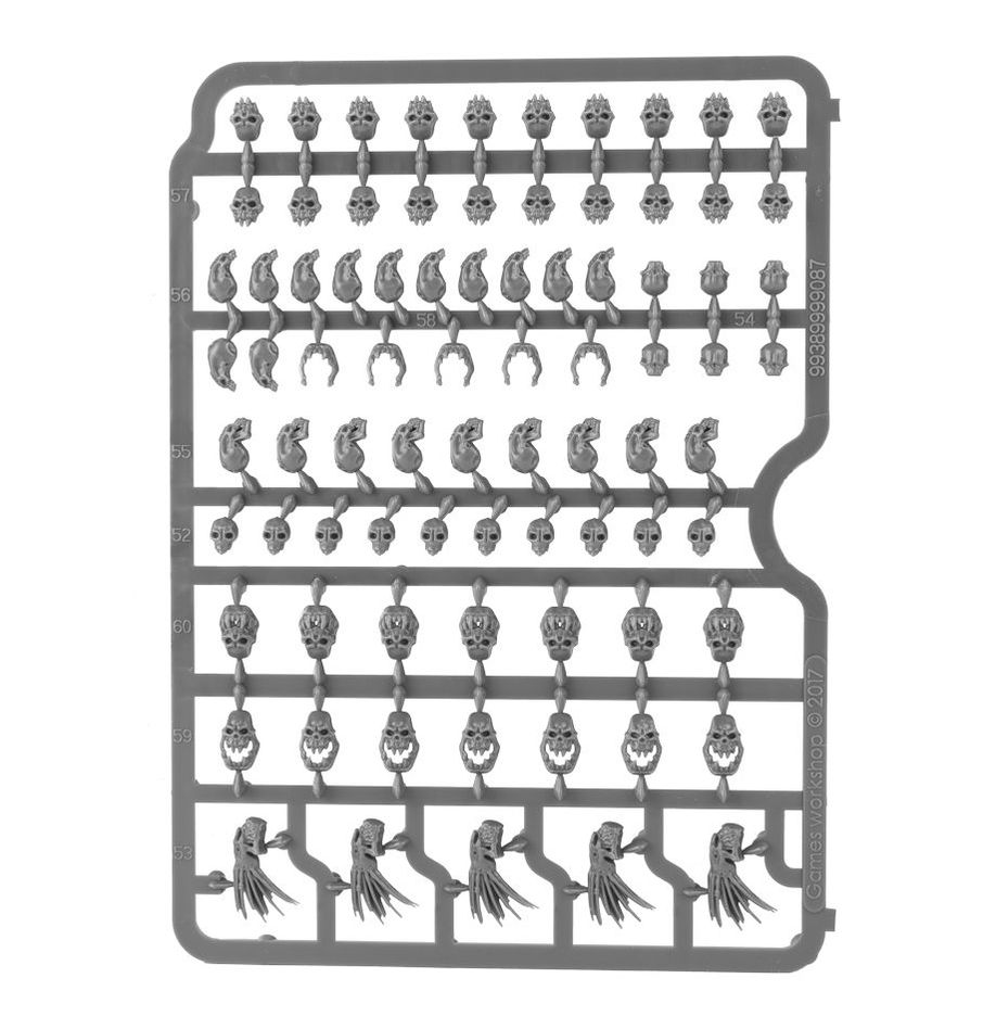 Citadel: Skull - Image 6