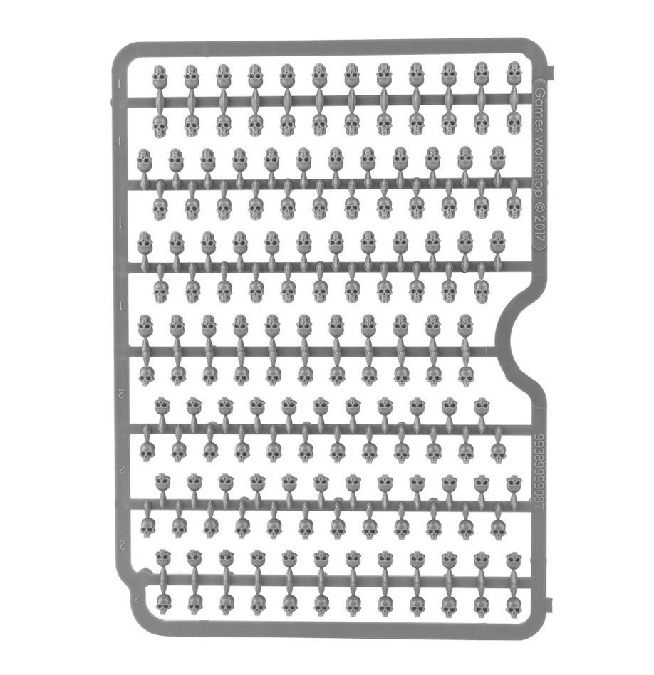 Citadel: Skull - Image 7